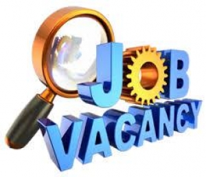 Job Offers for Freshers and Experienced in International BPO